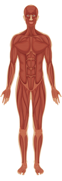 Dermatologici